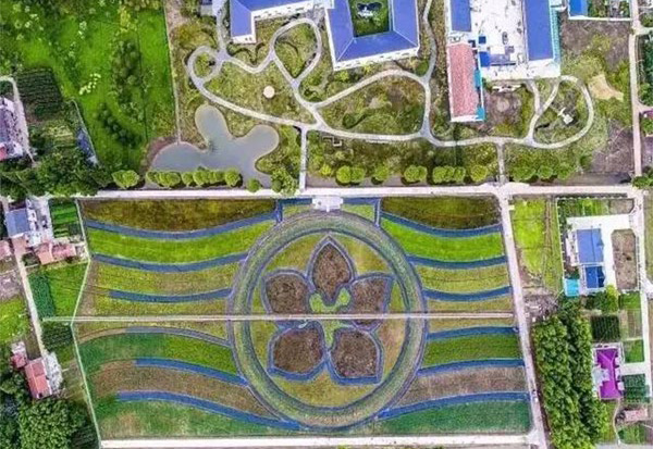 上海電氣崇明三星田園智能微網(wǎng)